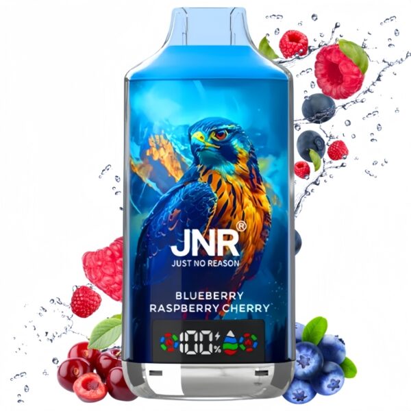 Acheter Pas cher JNR Blueberry Raspberry Cherry Got vendre | Prix 7,99 | En gros | VSVAPE Acheter Pas cher JNR Blueberry Raspberry Cherry Got vendre | Prix 7,99 | En gros | VSVAPE