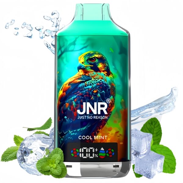 Acheter Pas cher JNR Cool Mint Got  vendre | Prix  7,99 | En gros |  VSVAPE