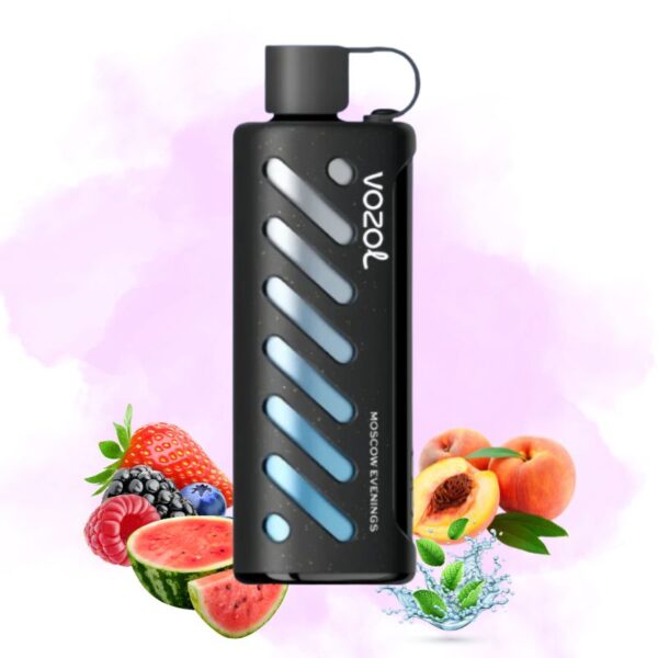 elfbar elfa kaufen VOZOL Star 20000 Raspberry Apple Watermelon Pineapple | Fruit Punch
