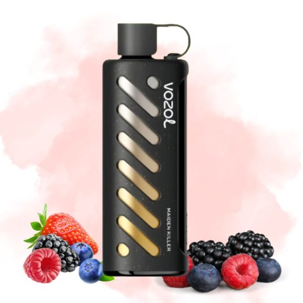 elfbar elfa master akku Vozol Disposable Star 20000 Puffs Raspberry Apple Watermelon Pineapple   HTV