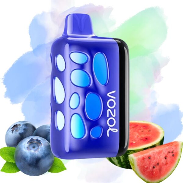 Acheter Pas cher Vozol Raspberry Apple Watermelon Pineapple Got  vendre |  Prix  7,99 | En gros | VSVAPE
