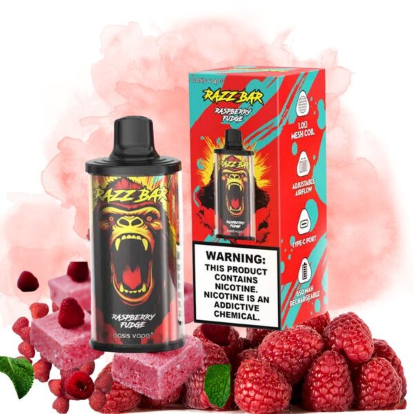 Raspberry Fudge 10 Razz Bar Raspberry Fudge Goût