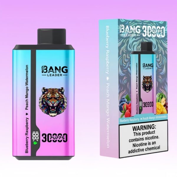Acheter Pas Cher Bang Leader Blueberry Raspberry & Peach Mango Watermelon  Got  vendre | Prix  10,79 | En gros | VSVAPE