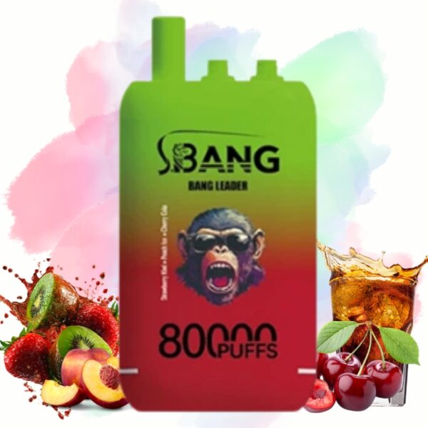 elfbar nachfüll pod läuft aus Vape jetable Bang King 30000 Puffs Double Flavor (affichage LED) France en  ligne pas cher – frvapormo main image 1